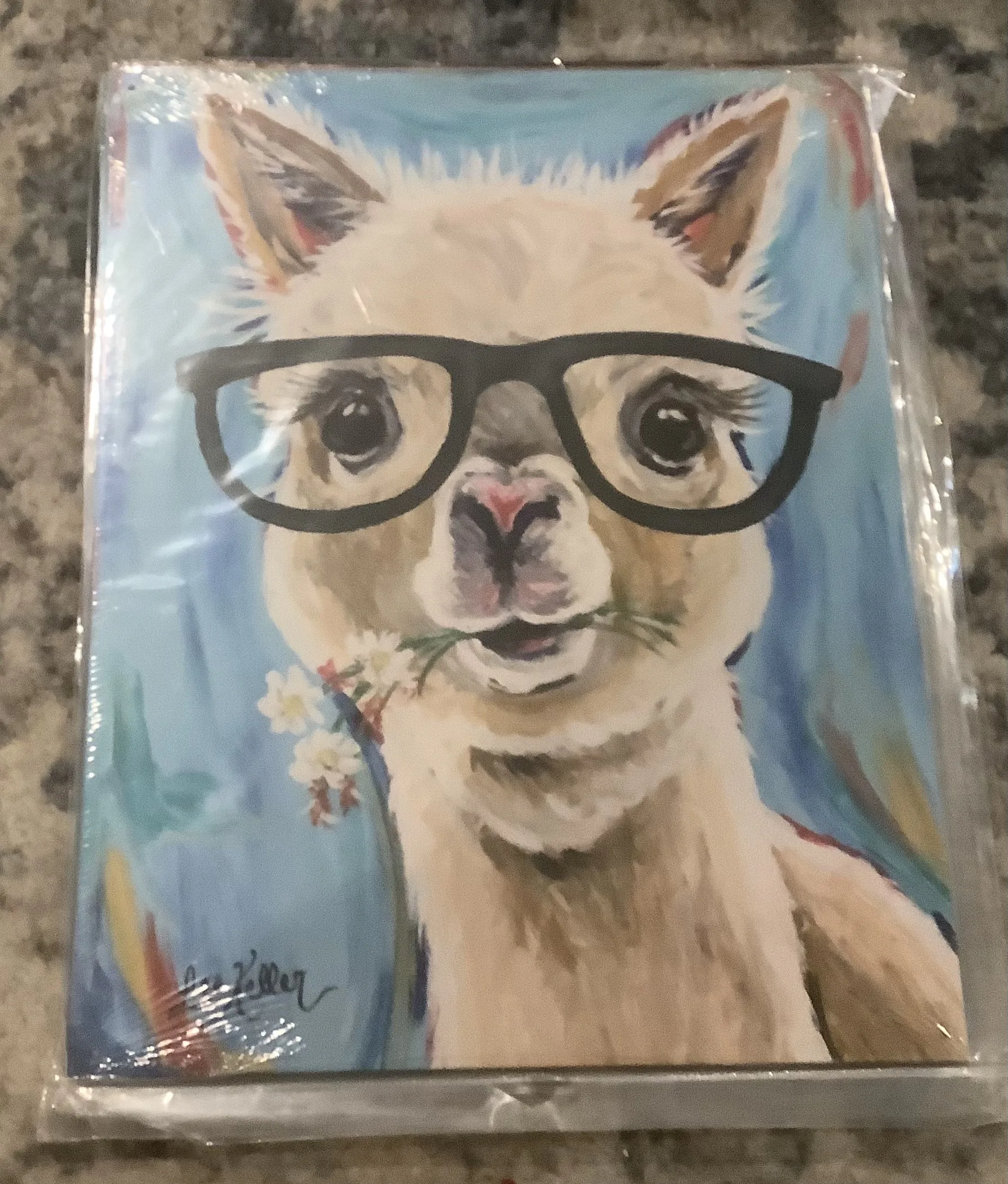 Alpaca With Glasses - Tin Signs Metal Sign