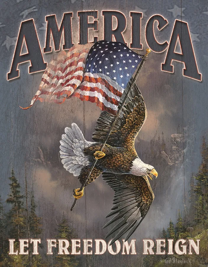 America Let Freedom Reign - Tin Signs Metal Sign