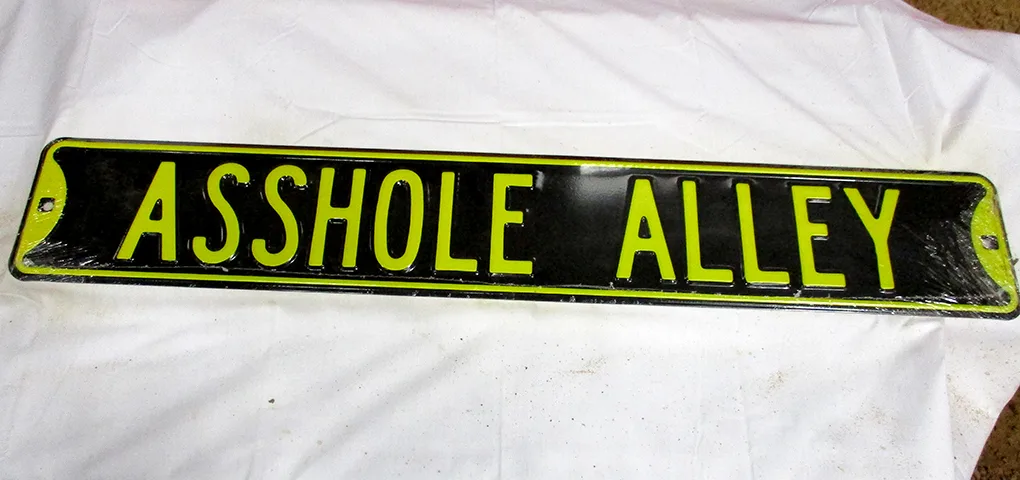 Asshole Alley - Street Signs Metal Sign