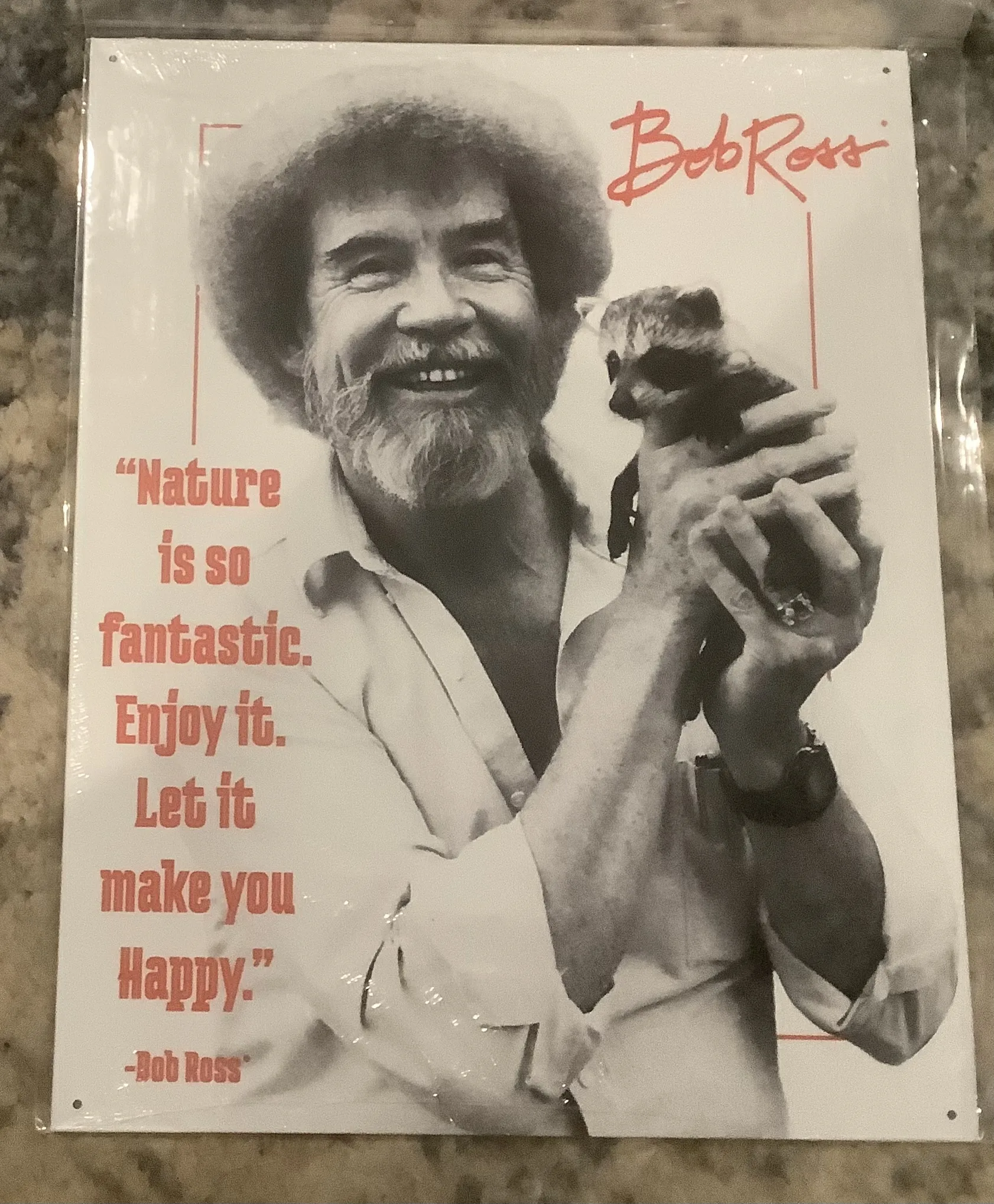 Bob Ross-Nature Bob - Tin Signs Metal Sign