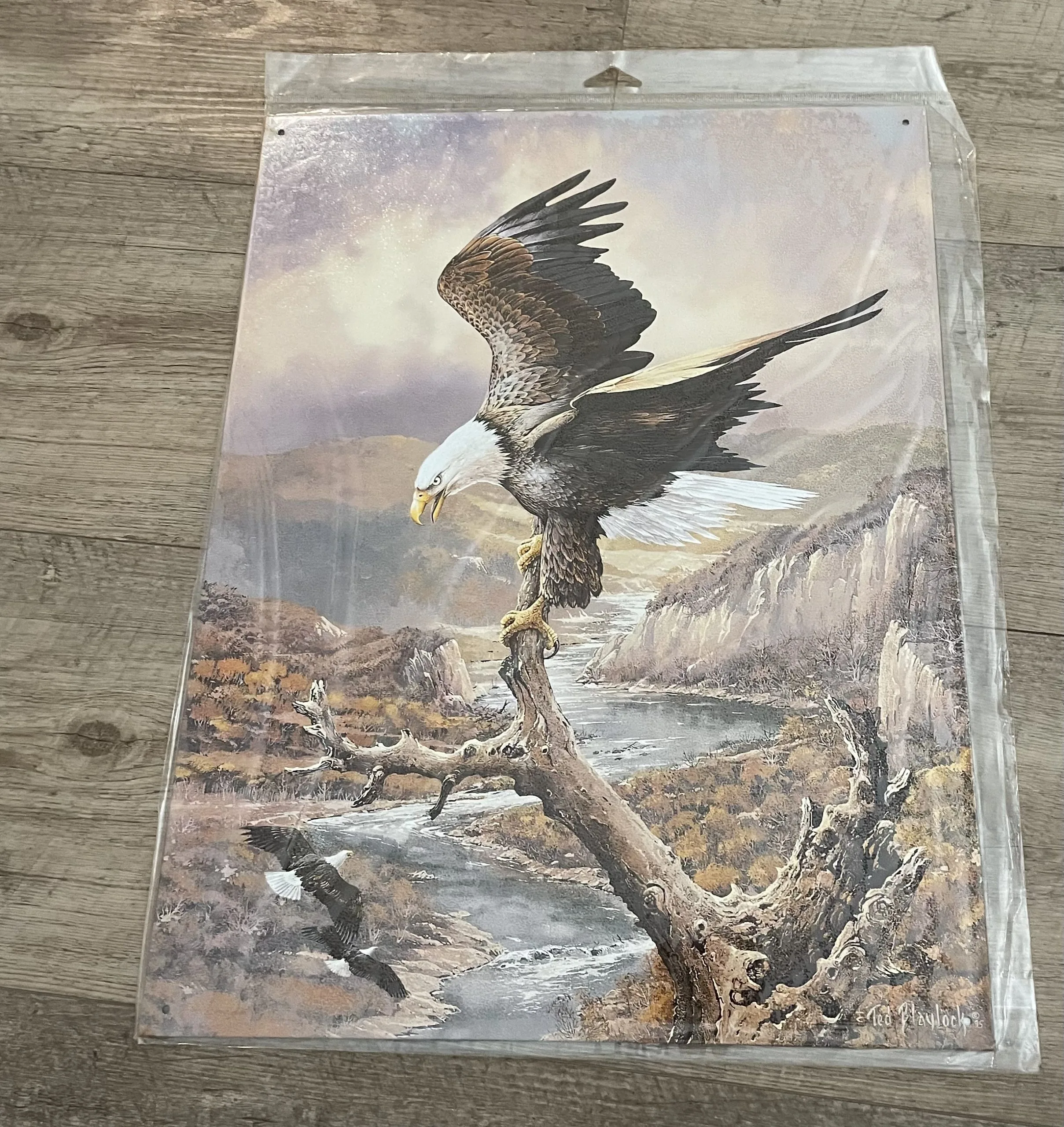 Eagle On A Branch Above River - Tin Signs Metal Sign