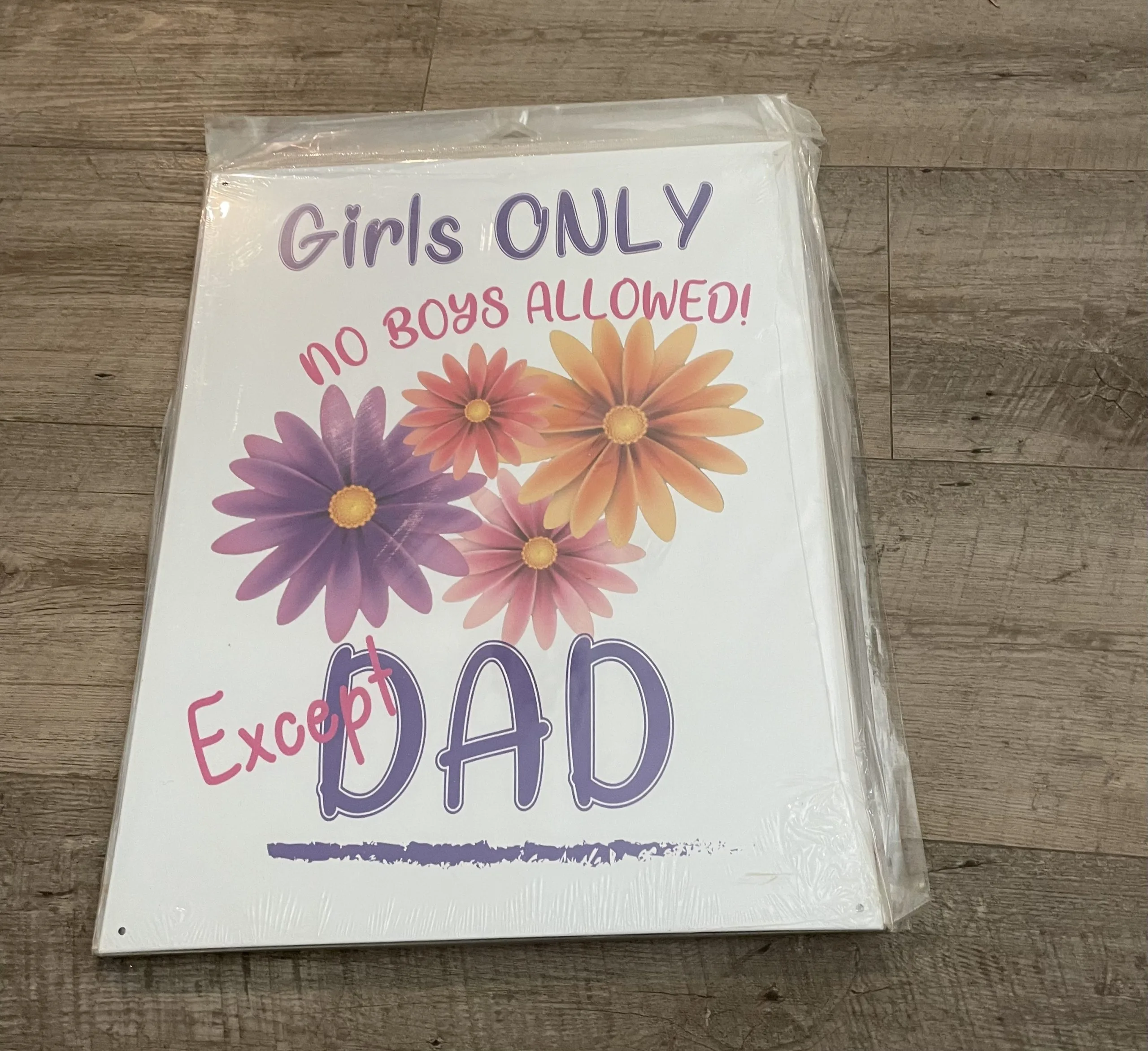 Girls Only-No Boys Allowed-Except Dad - Tin Signs Metal Sign