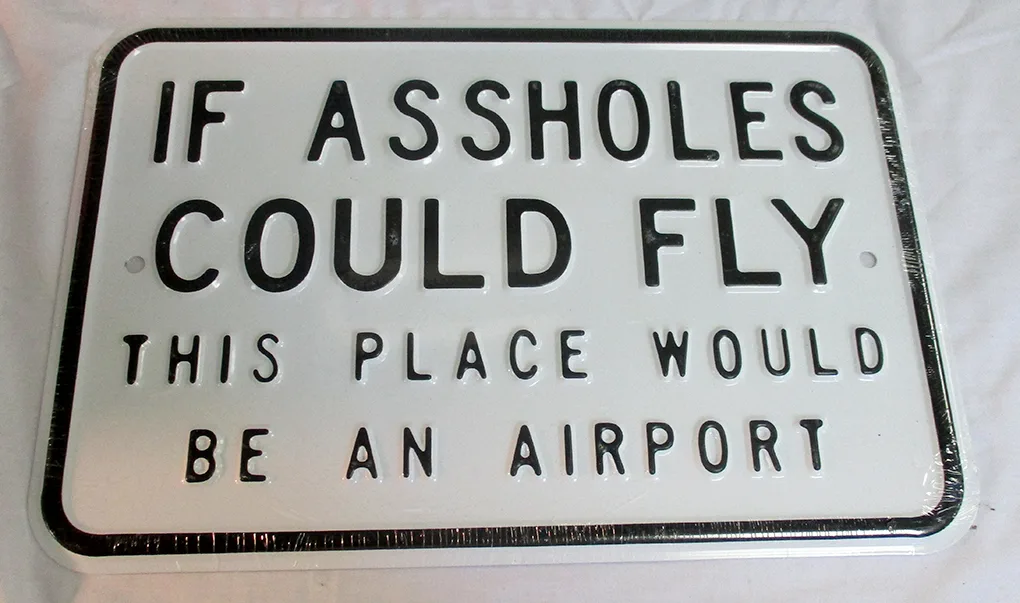 If Assholes Could Fly This Place Would Be An Airport - Tin Signs Metal Sign