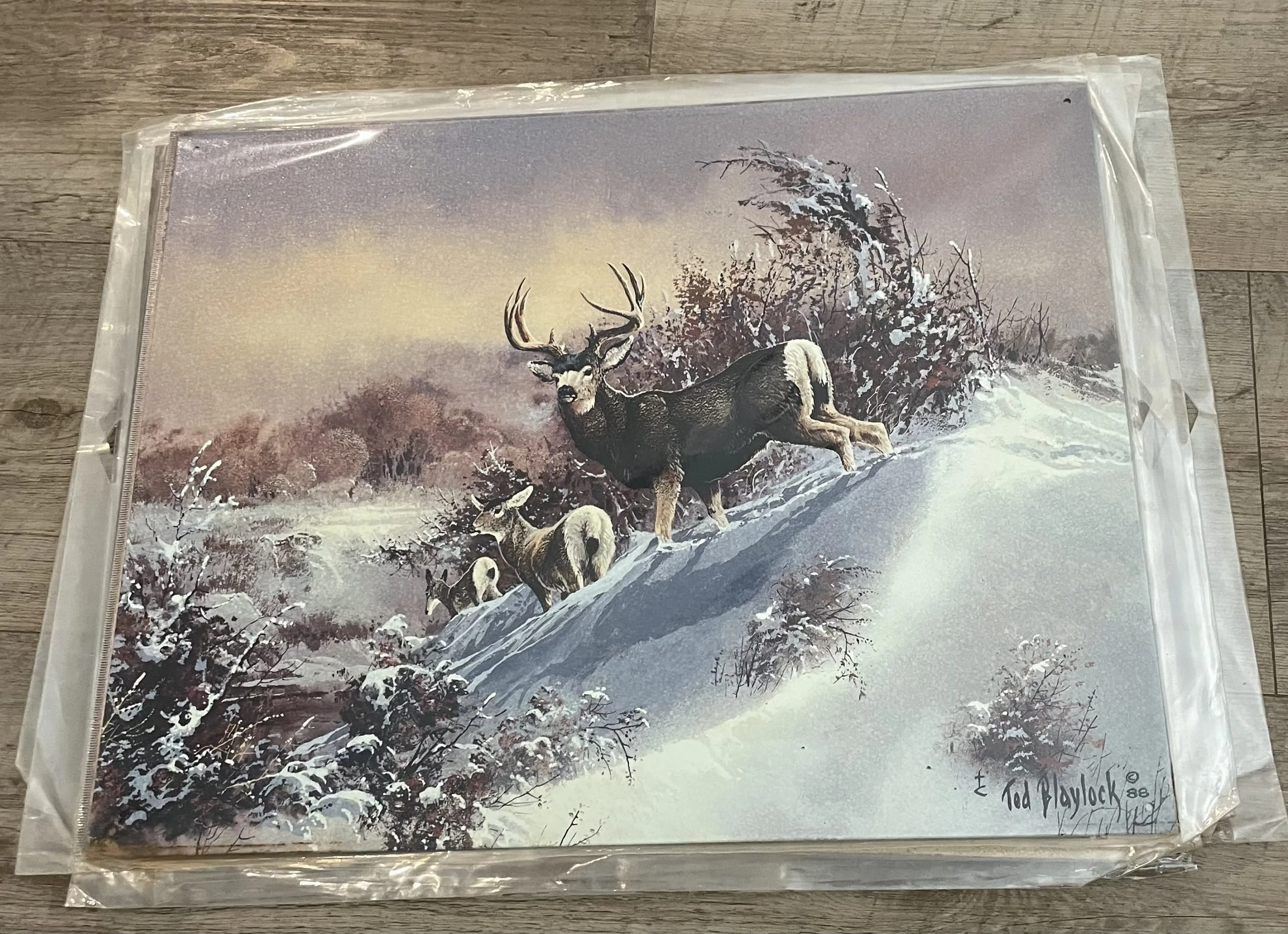 Muley's (Deer) On Creek by Ted Blaylock - Tin Signs Metal Sign