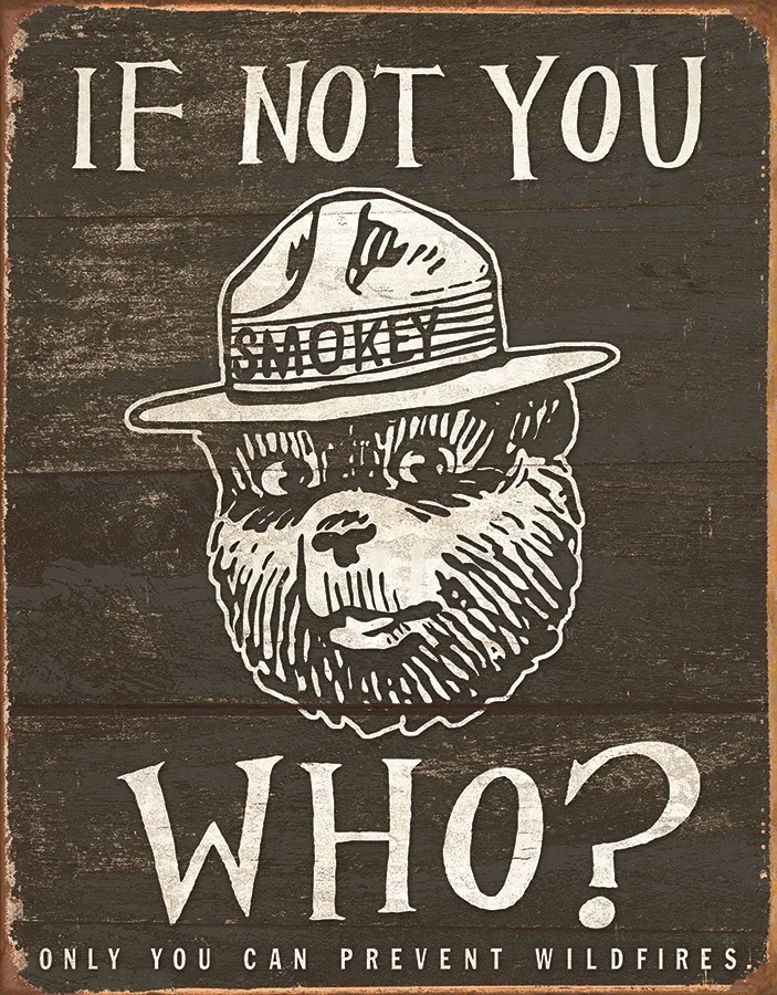 Smokey Bear - If Not You Who? - Tin Signs Metal Sign