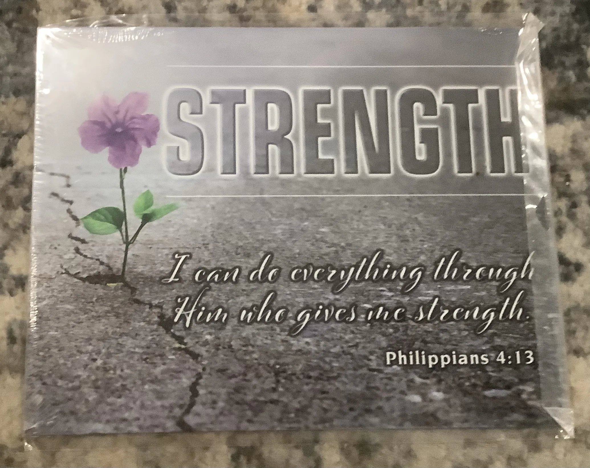 Strength-I Can Do Everything Through Him Who Gives The Strength - Tin Signs Metal Sign
