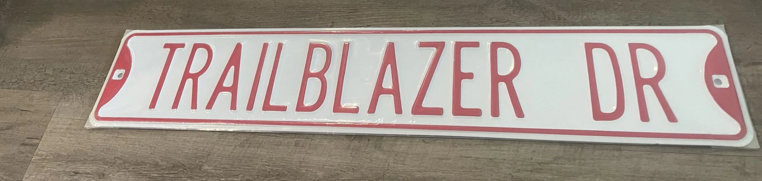 Trailblazer Dr - Street Signs Metal Sign