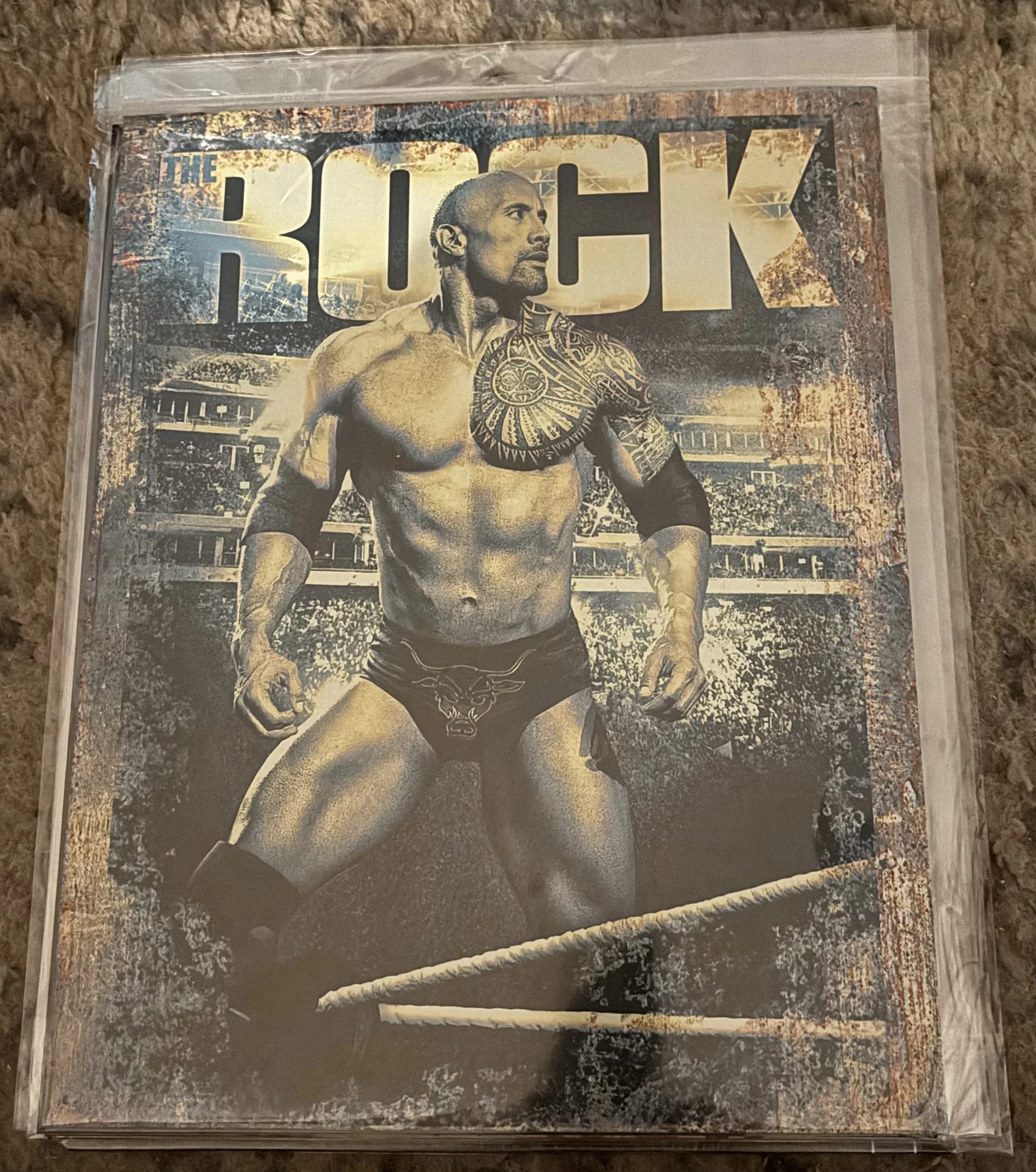 WWE-The Rock - Tin Signs Metal Sign