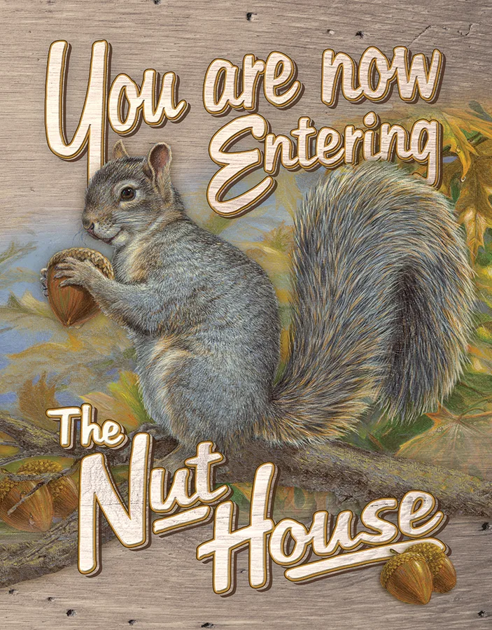 You are Now Entering the Nut House - Tin Signs Metal Sign